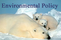 Environmental Policy